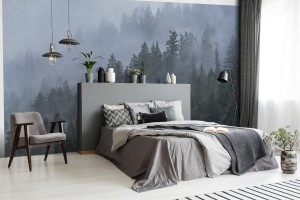 fototapeta mgliste drzewa lesne w polnocno zachodnim pacyfiku