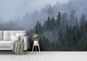 fototapeta mgliste drzewa lesne w polnocno zachodnim pacyfiku