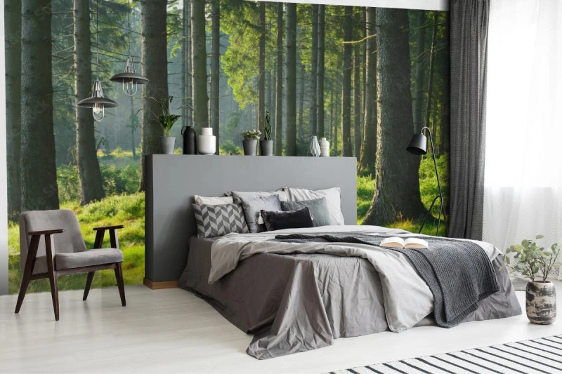 fototapeta nietkniety prawie naturalny las swierkowy w cieplym