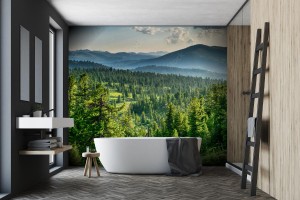 fototapeta piekny zachod slonca w lesie cedrowym przed