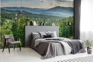 fototapeta piekny zachod slonca w lesie cedrowym przed