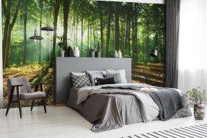 fototapeta rano w lesie