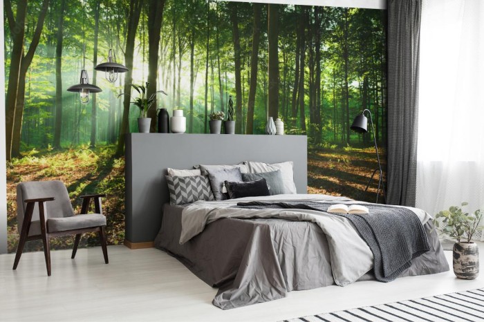 fototapeta rano w lesie