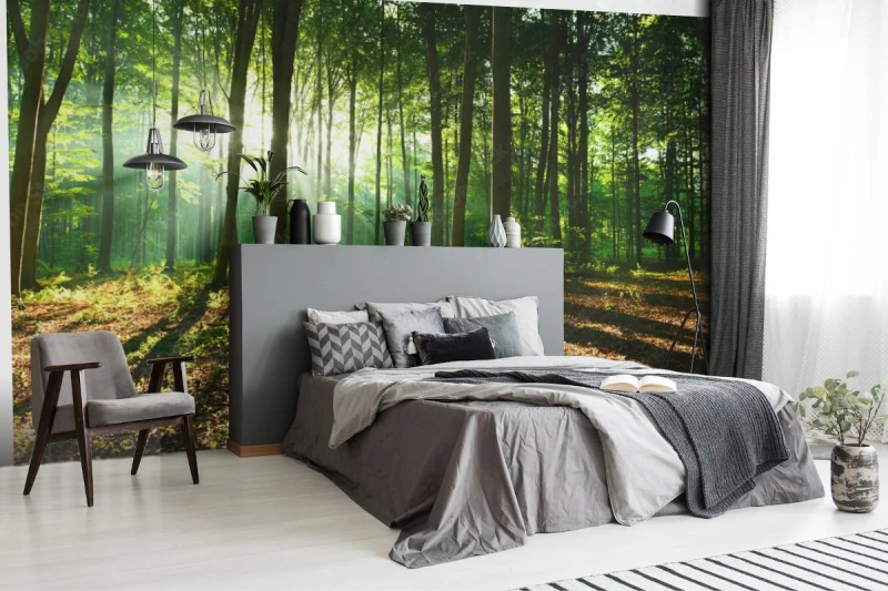 fototapeta rano w lesie