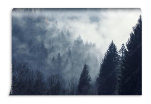 fototapeta skandynawskie drzewa we mgle