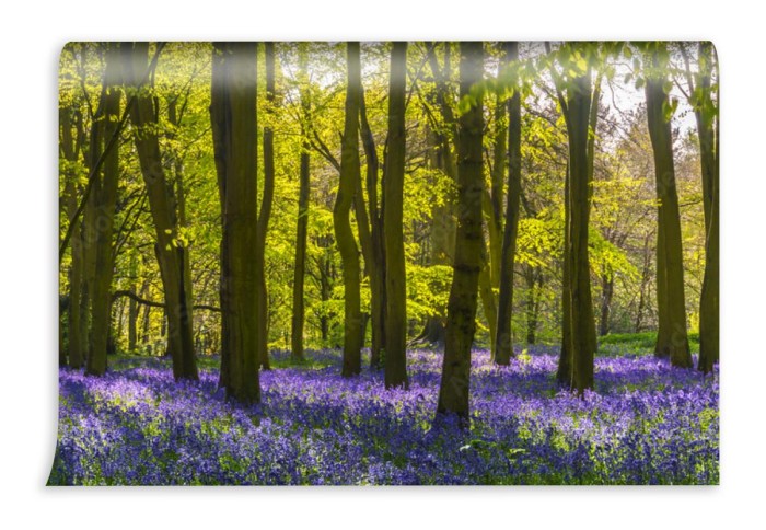 fototapeta swiatlo sloneczne rzuca cienie na drewniane dz
