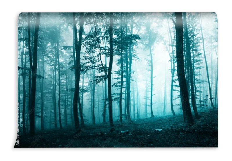 fototapeta turkusowy las we mgle