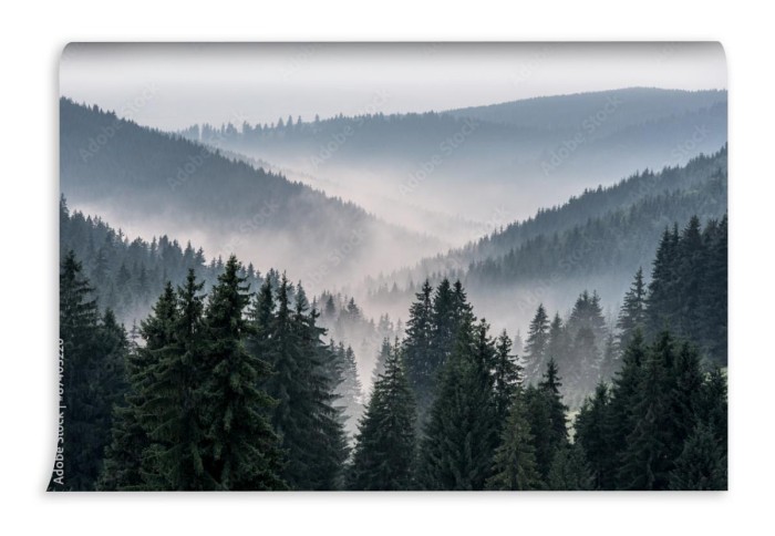 fototapeta widok z gor na doline pokryta mgla