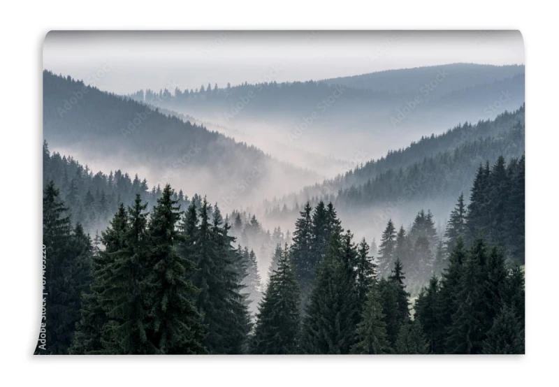 fototapeta widok z gor na doline pokryta mgla