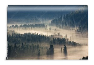 fototapeta wzgorza i las iglasty w chmurach