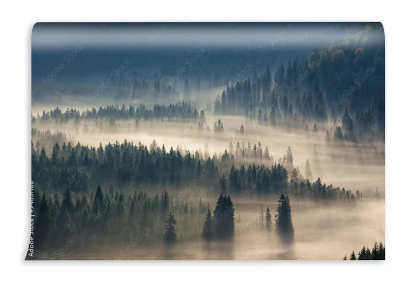fototapeta wzgorza i las iglasty w chmurach