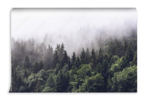 fototapeta zalesiony stok gory w niskiej chmury lezacej
