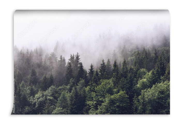 fototapeta zalesiony stok gory w niskiej chmury lezacej