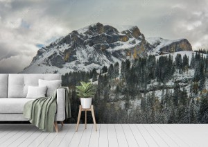 fototapeta alpy szwajcaria okolice axalp