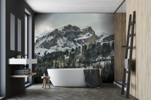 fototapeta alpy szwajcaria okolice axalp