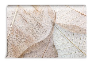 fototapeta zblizenie widok piekni dekoracyjni zredukowani l