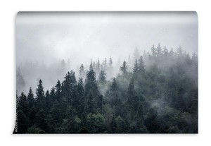 fototapeta mglisty krajobraz gorski niekolorowa