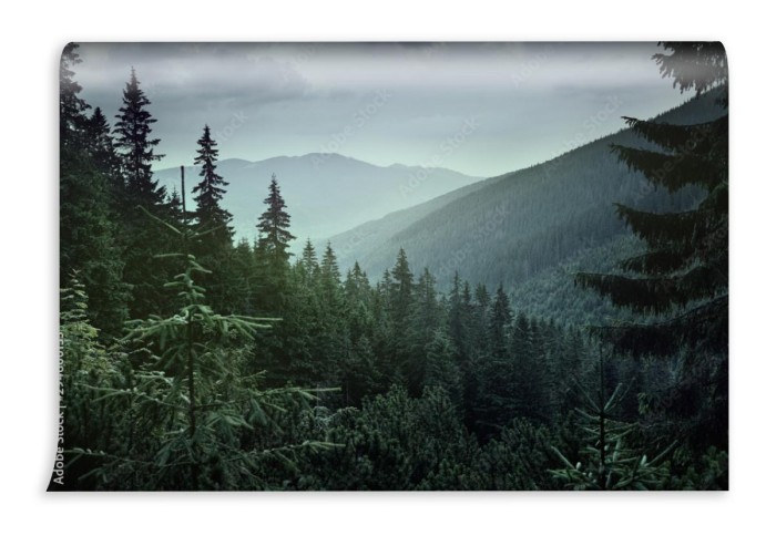 fototapeta panoramiczny widok lasu iglastego w gorach o