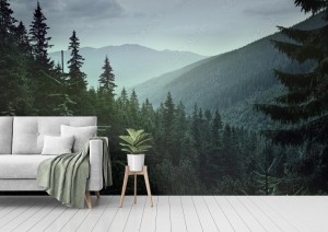 fototapeta panoramiczny widok lasu iglastego w gorach o
