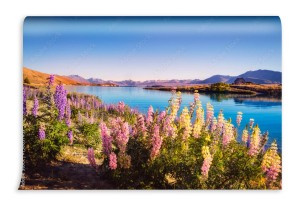 fototapeta krajobrazowy widok na jezioro tekapo i kwiaty w