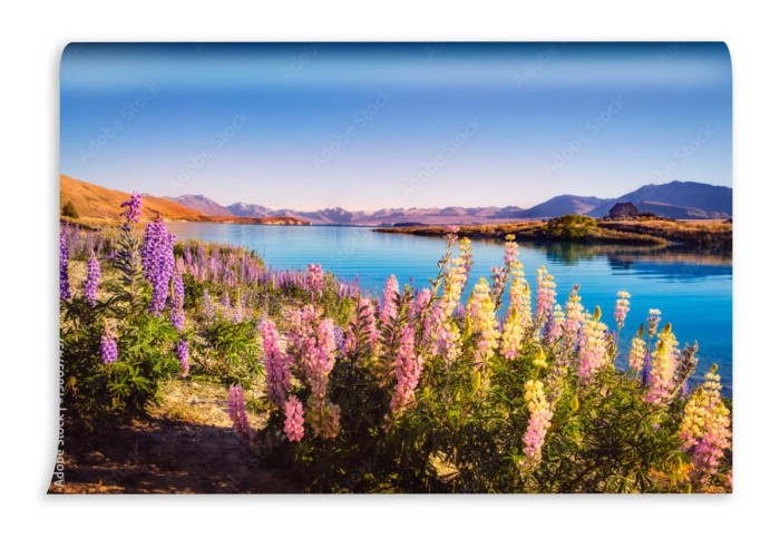 fototapeta krajobrazowy widok na jezioro tekapo i kwiaty w