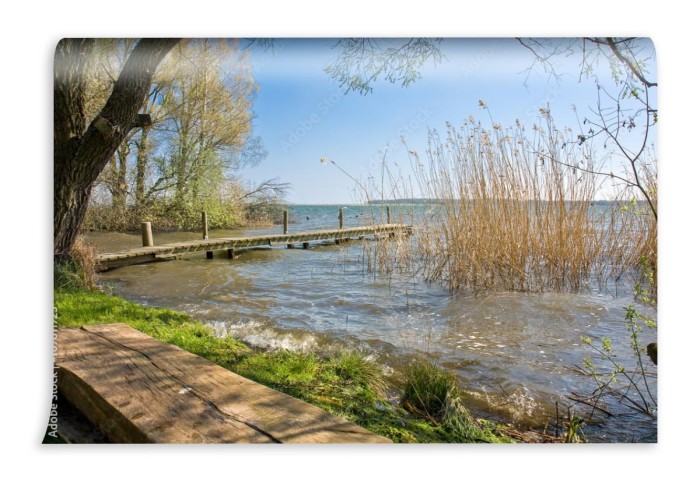 fototapeta lakeshore on muritz in robel pojezierze m