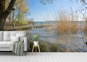 fototapeta lakeshore on muritz in robel pojezierze m