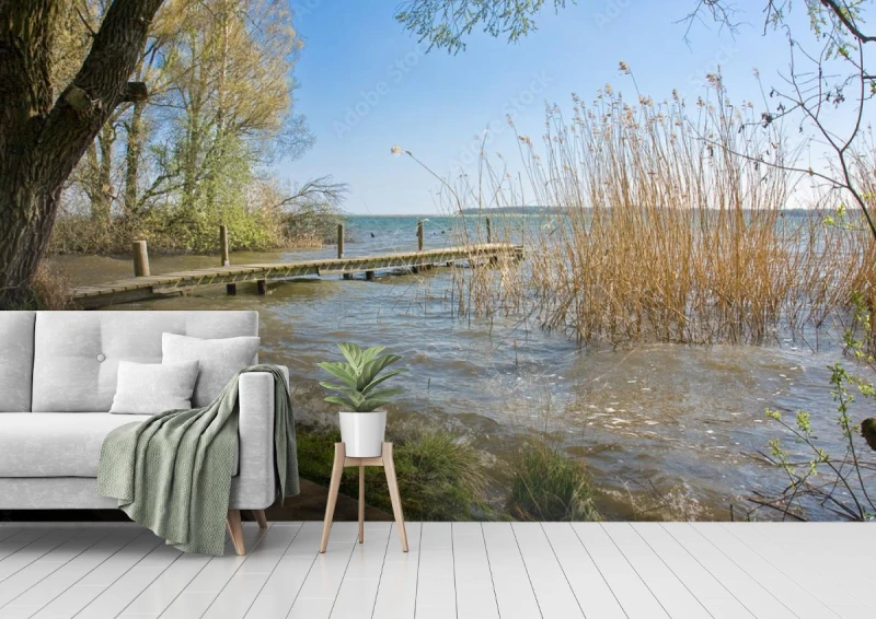 fototapeta lakeshore on muritz in robel pojezierze m