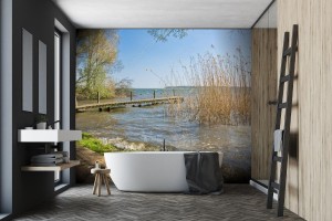 fototapeta lakeshore on muritz in robel pojezierze m
