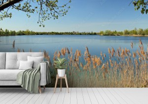 fototapeta lakeside