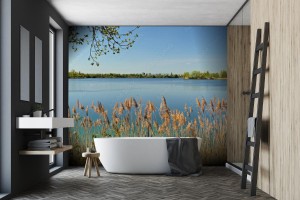 fototapeta lakeside