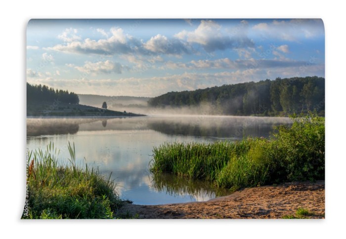 fototapeta mglisty brzeg jeziora o letnim wschodzie slonca z