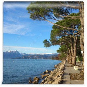 fototapeta zimowy brzeg jeziora z snieznymi gorami w tle