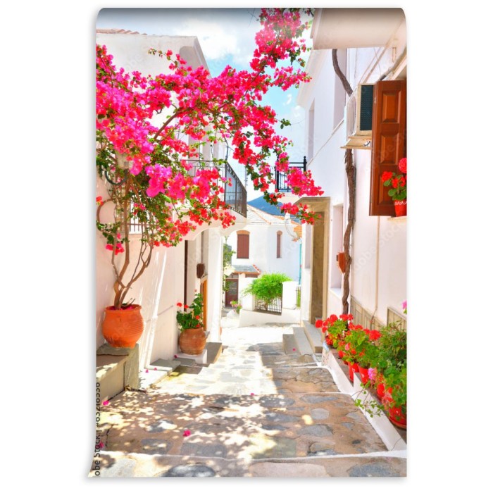 fototapeta bougainvillea na waskich ulicach skopelos grecja
