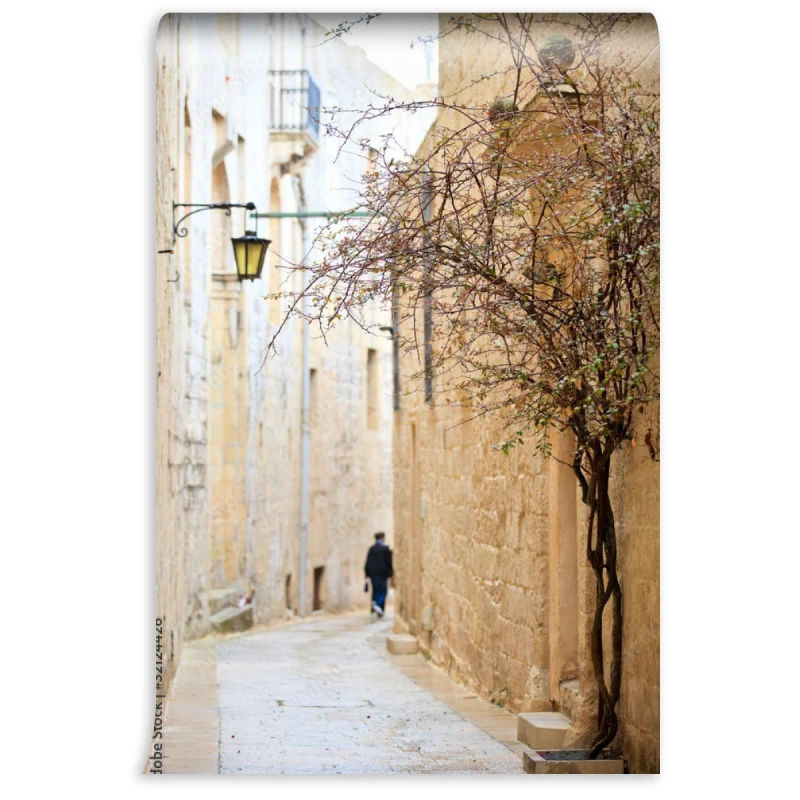 fototapeta mdina street