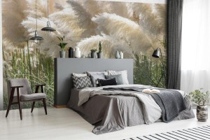 fototapeta biala trawa pampasowa cortaderia selloana krzewy in