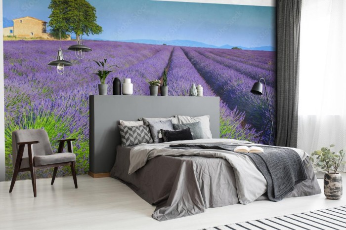 fototapeta kolorowi purpurowi lawend pola w provence