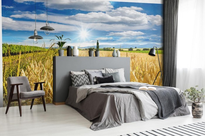 fototapeta pozne lato pole pszenicy w palatynacie