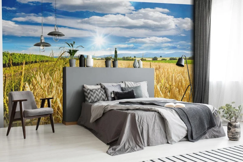 fototapeta pozne lato pole pszenicy w palatynacie