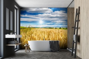 fototapeta pozne lato pole pszenicy w palatynacie