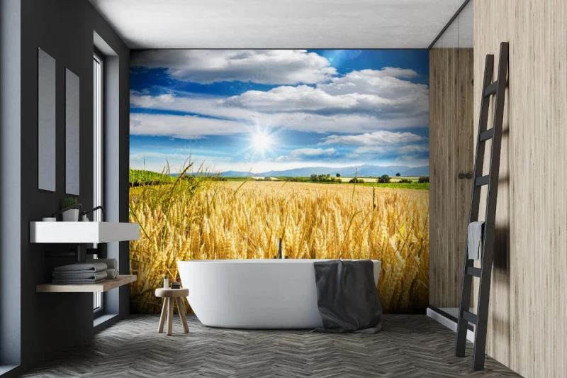 fototapeta pozne lato pole pszenicy w palatynacie