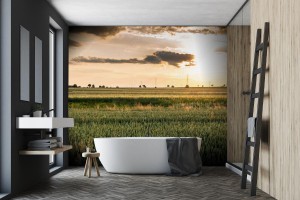 fototapeta slonce nad horyzontem pola