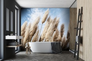 fototapeta trawa pampasowa na niebie abstrakcja naturalna
