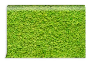 fototapeta duza sciana z mchem zielonym
