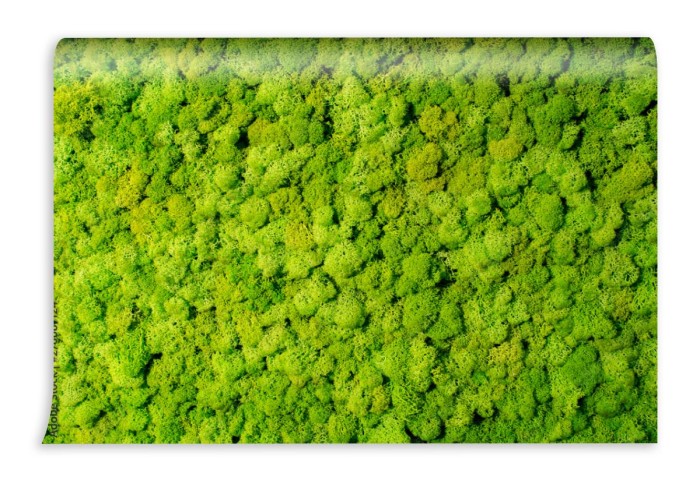 fototapeta sciana z mchu renifera zielona dekoracja