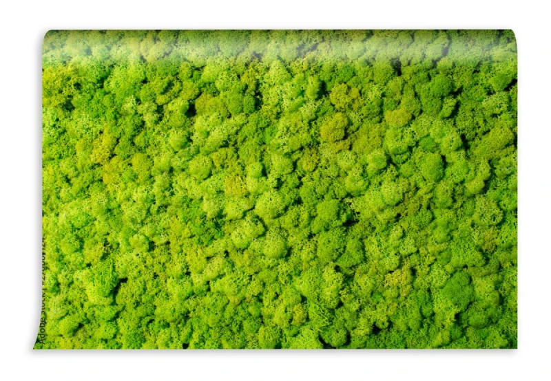 fototapeta sciana z mchu renifera zielona dekoracja