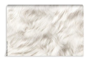 fototapeta miekki futerko dla psa
