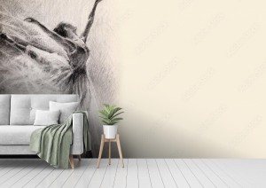 fototapeta baletnica w skoku naszkicowac grafika rysunek