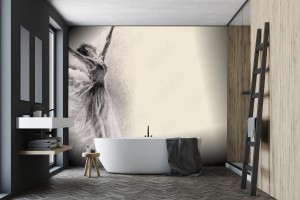 fototapeta baletnica w skoku naszkicowac grafika rysunek