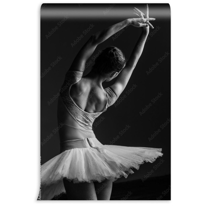 fototapeta mloda piekna balerina pozuje w studiu
